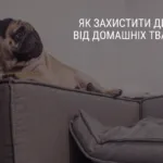 ЯК ЗАХИСТИТИ ДИВАН ВІД ДОМАШНІХ ТВАРИН