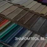 ЗНАЙОМТЕСЬ, ВЕЛЮР!