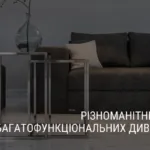 РІЗНОМАНІТНІСТЬ БАГАТОФУНКЦІОНАЛЬНИХ ДИВАНІВ
