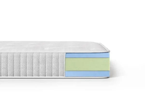 MASSIMO LITE