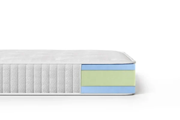 MASSIMO LITE