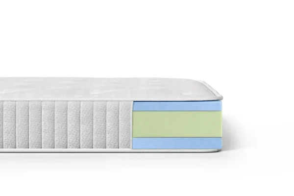 MASSIMO LITE